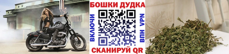 МАРИХУАНА Amnesia  Щучье 